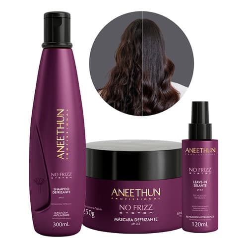 Kit Aneethun System No Frizz Shampoo Mascara Leave In