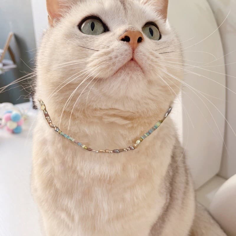 Alilin Decorativo Pet Traje Cão Gatos Pescoço Jóias Pérolas Colar Aniversário Fornecimento Coleira De Cachorro Contas Ma