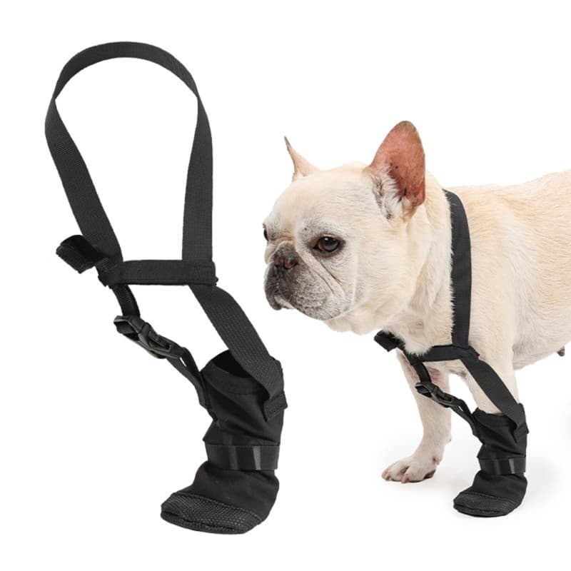 Bota Protetora De Cachorro Estone Para Recuperação De Patas Dianteiras , Protetor Macio , Sapato Resistente À Água Pós-C