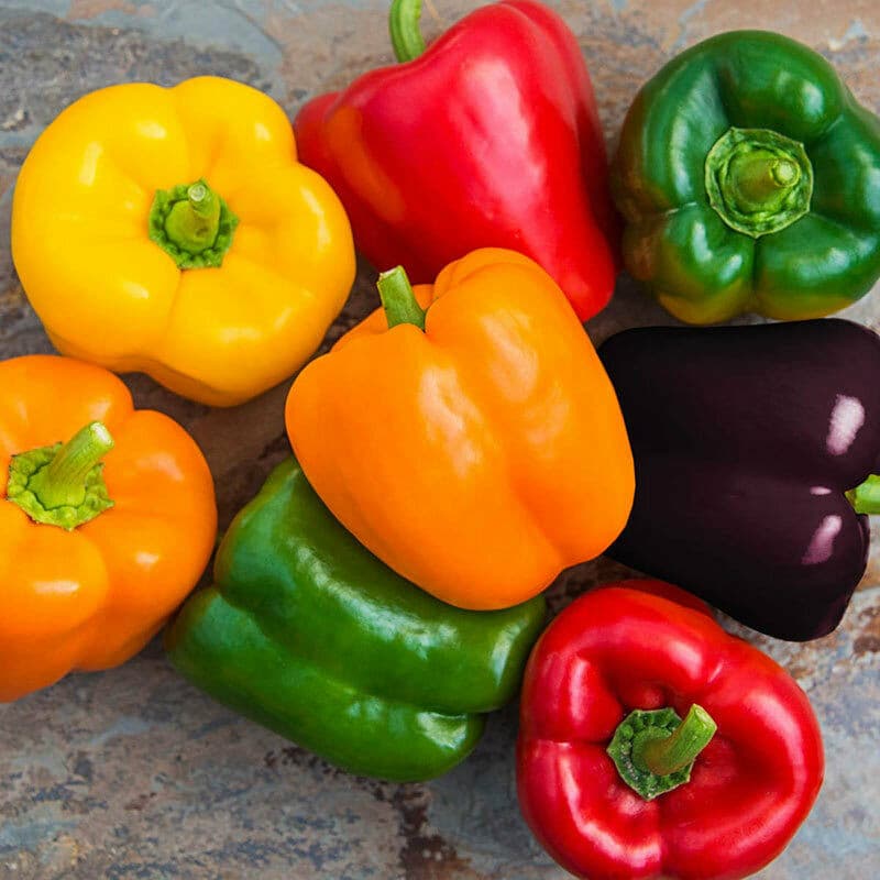 Sementes de Pimenta Doce 200/500 Unid Hortaliça para Plantio Fácil Alta Germinação para Horta e Cozinha