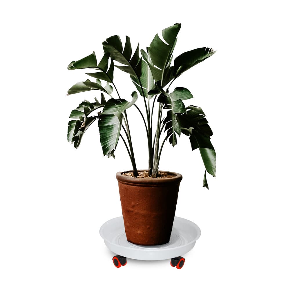 Suporte Com Rodizio Vaso De Plantas Com Rodinhas 42cm