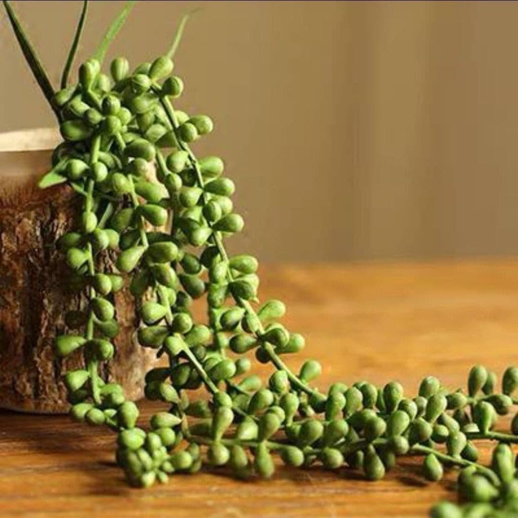 Suculenta Planta Artificial Para Decoração Bolinha Pendente Premium Novo Enfeite Decorativas