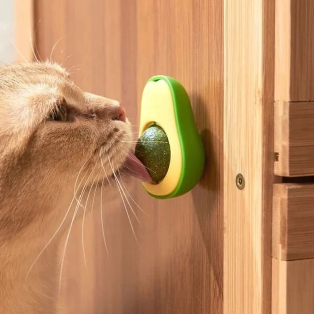 Catnip Abacate 360º Bolinha Lamber Gato Mordedor Frutas Fita dupla face Estímulo Felino