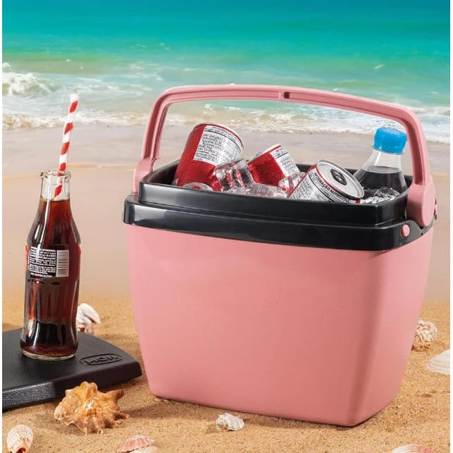 Caixa Térmica Cooler Com Alça Resistente 18 Litros - Sortidos