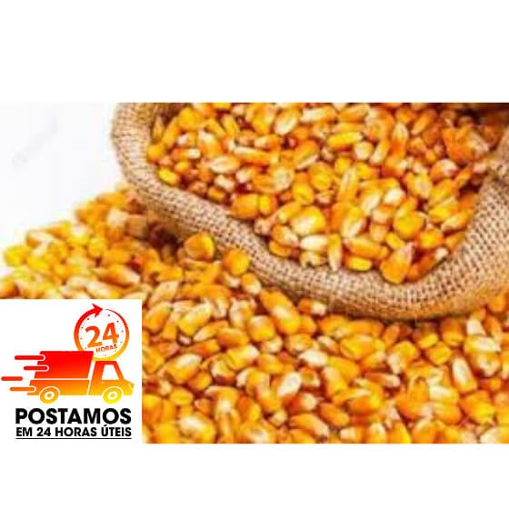 Milho em Grãos embalagem com 5kg