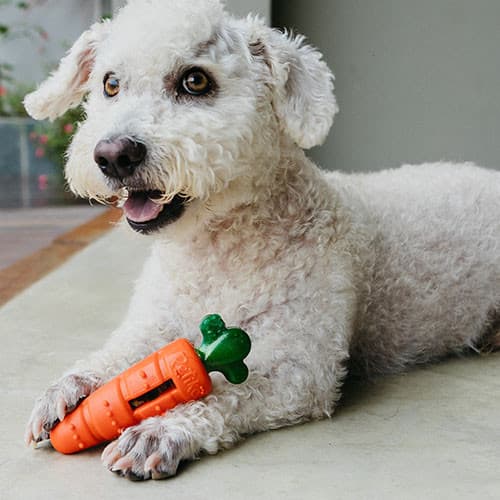 Dispenser de Petiscos Cenourita para cachorro | Brinquedo Interativo, Mordedor e Estímulo Mental - Petiko