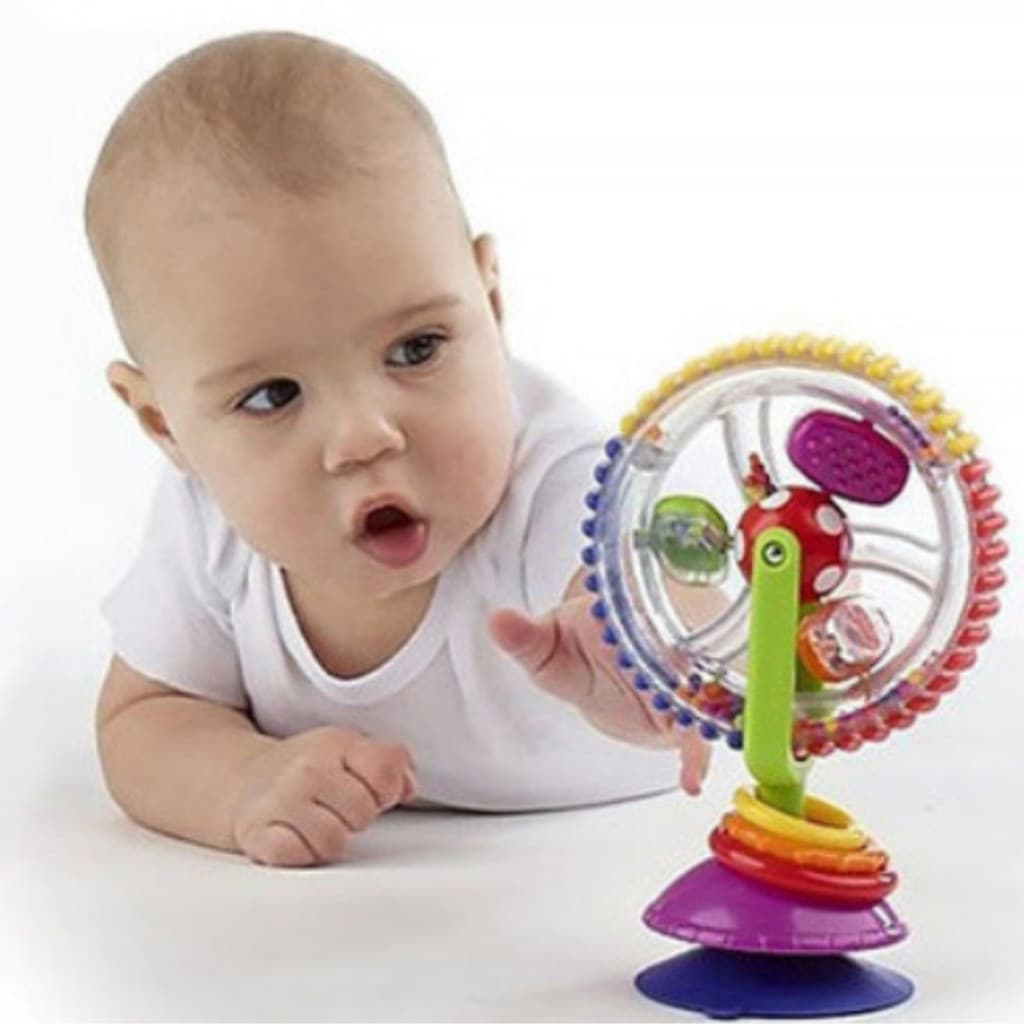 Brinquedo Roda Sensorial Rodinha Giratoria Com Ventosa Promoção