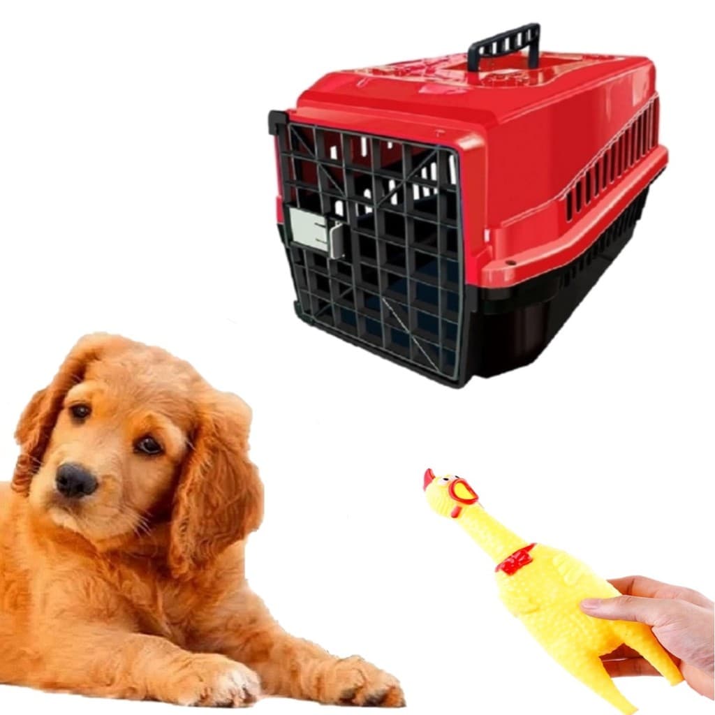 Kit Caixa Transporte Pet N3 E Brinquedo Pet Mordedor Galinha
