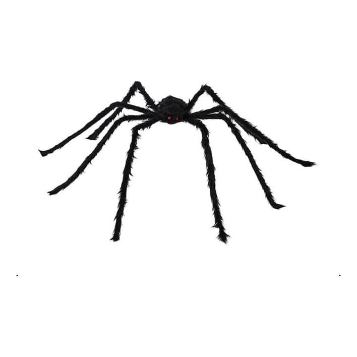 Aranha Preta Decoração De Festa Halloween Casa Assombrada