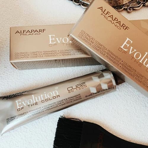 Kit 15 Colorações Evolution Alfaparf + 1 Ox De 1litro