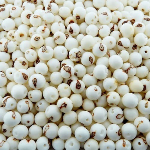 Semente De Açaí Para Bijuterias - Branco - 8mm - 1000pçs