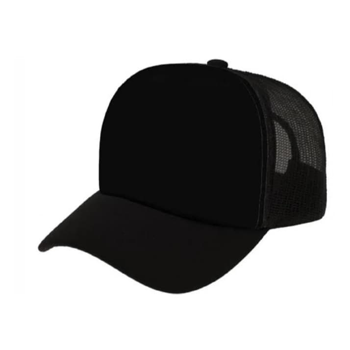 Boné Telinha Liso Truck Aba Curva Snapback Você Escolhe a Cor Envio em 24h