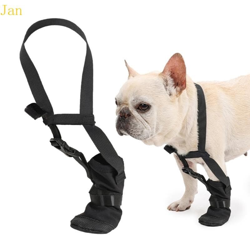 Jan Ajustando Sapato Cura Para Cães Recuperação Pós-Cirurgias Calçado Proteção Patas