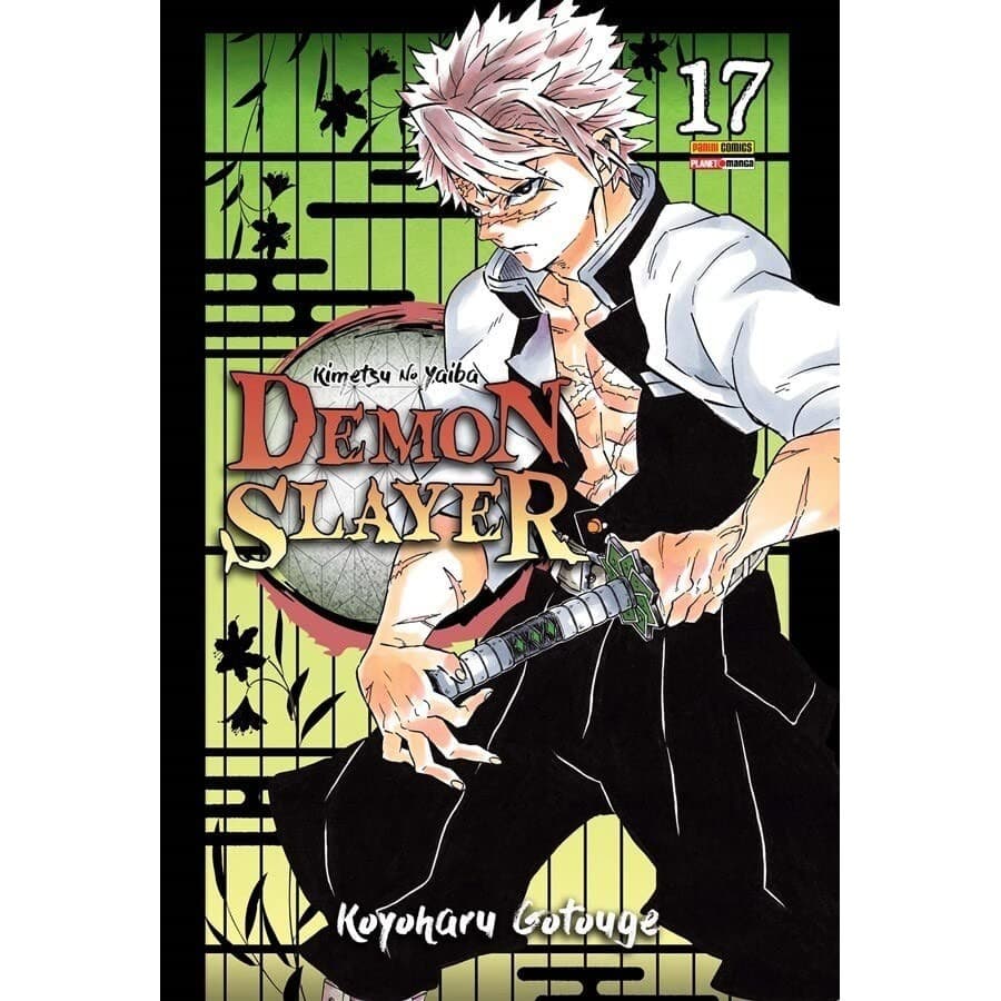 DEMON SLAYER - KIMETSU NO YAIBA 17 - PANINI