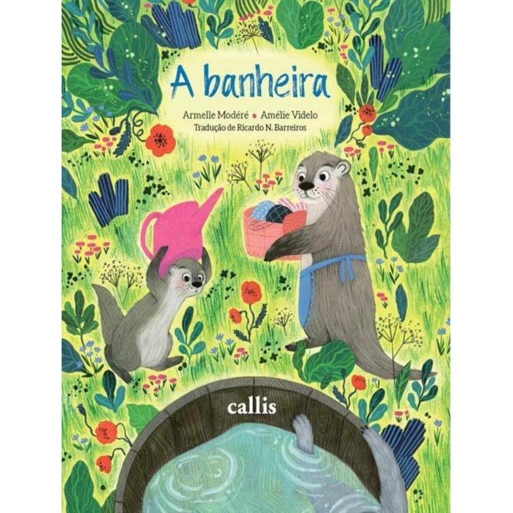 Livro - Banheira - Surpresa Na Hora Do Banho!,A
