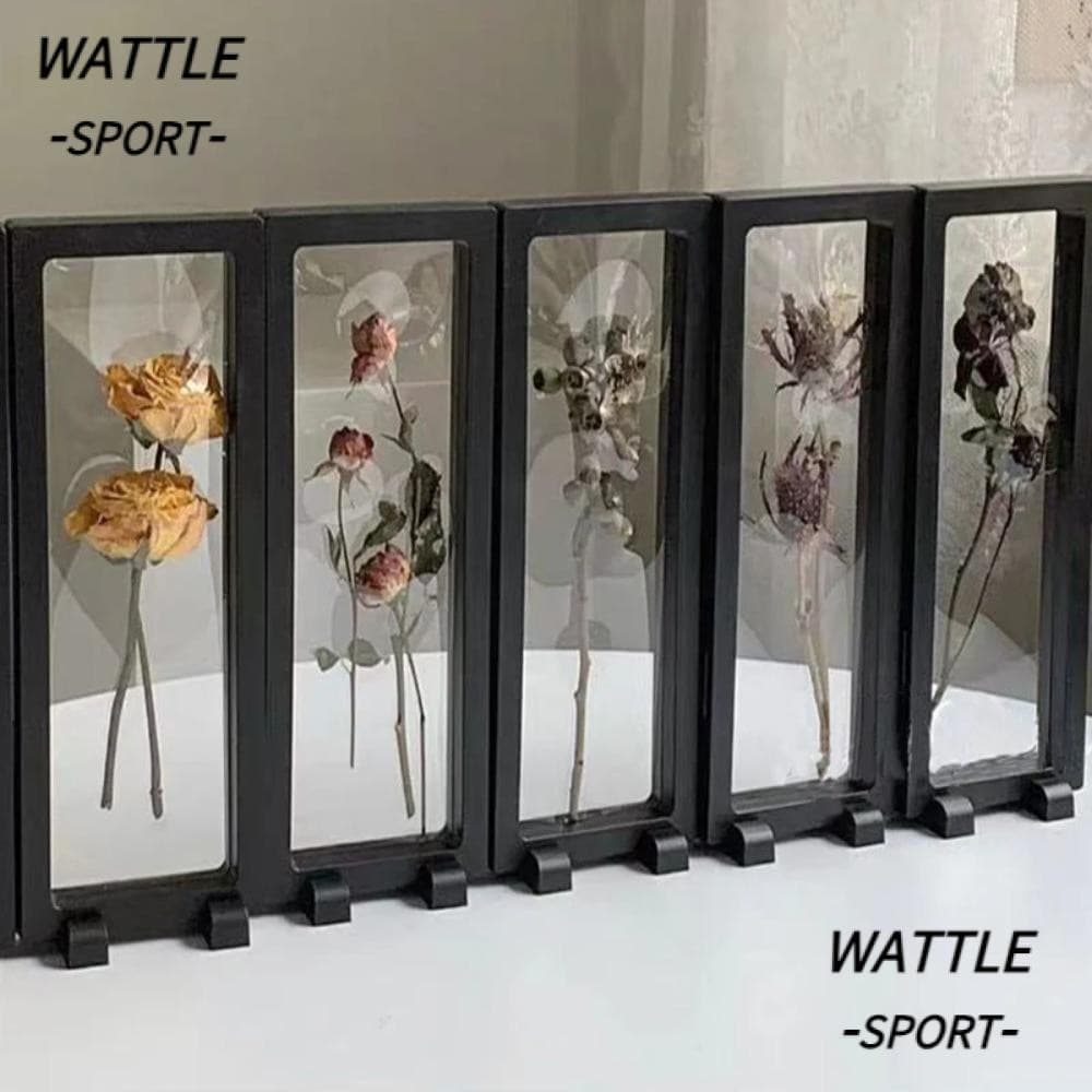 Caixa De Armazenamento De Moldura WATTLE , Quadrada Preta E Branca , Flor Seca Transparente Para Joias DIY