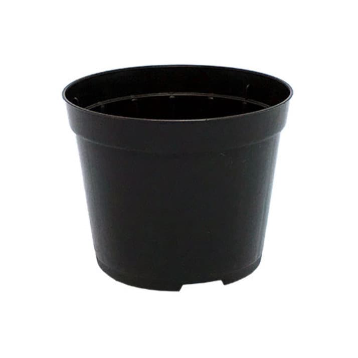 30 Vasos Pote tamanho 9 para Rosas do deserto, suculentas e mini cactos cor preto
