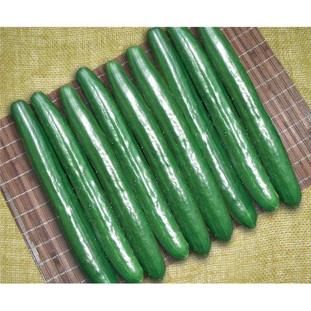 1.000 Sementes de Pepino Japonês | Hortaliça para Plantio | Alta Germinação | Horta e Jardim | Cultivo Fácil