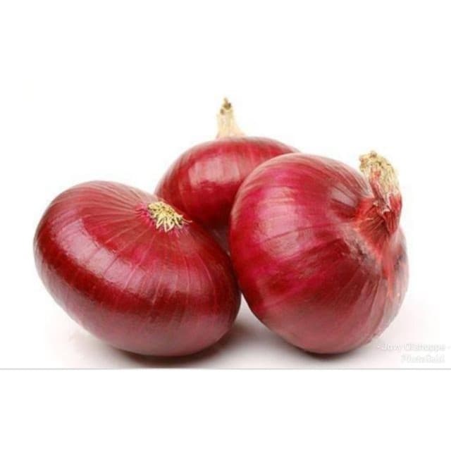 Sementes de Cebola Roxa Crioula Variedade 200 | 500 Sementes para Plantio | Alta Germinação | Hortaliça para Horta