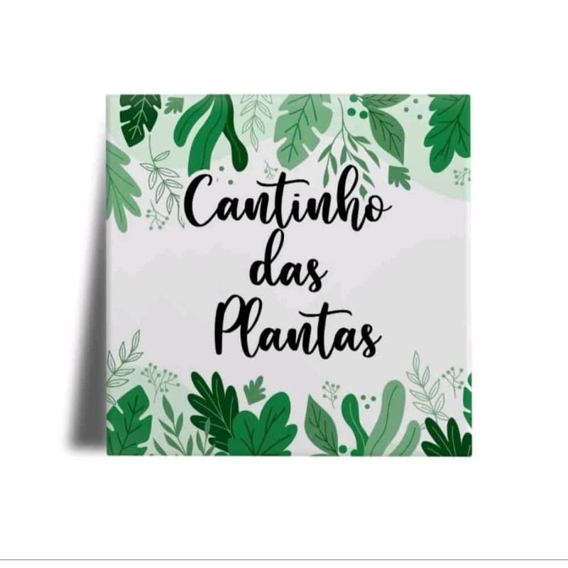Placas Decorativas Quadro Para Cantindo das Plantas