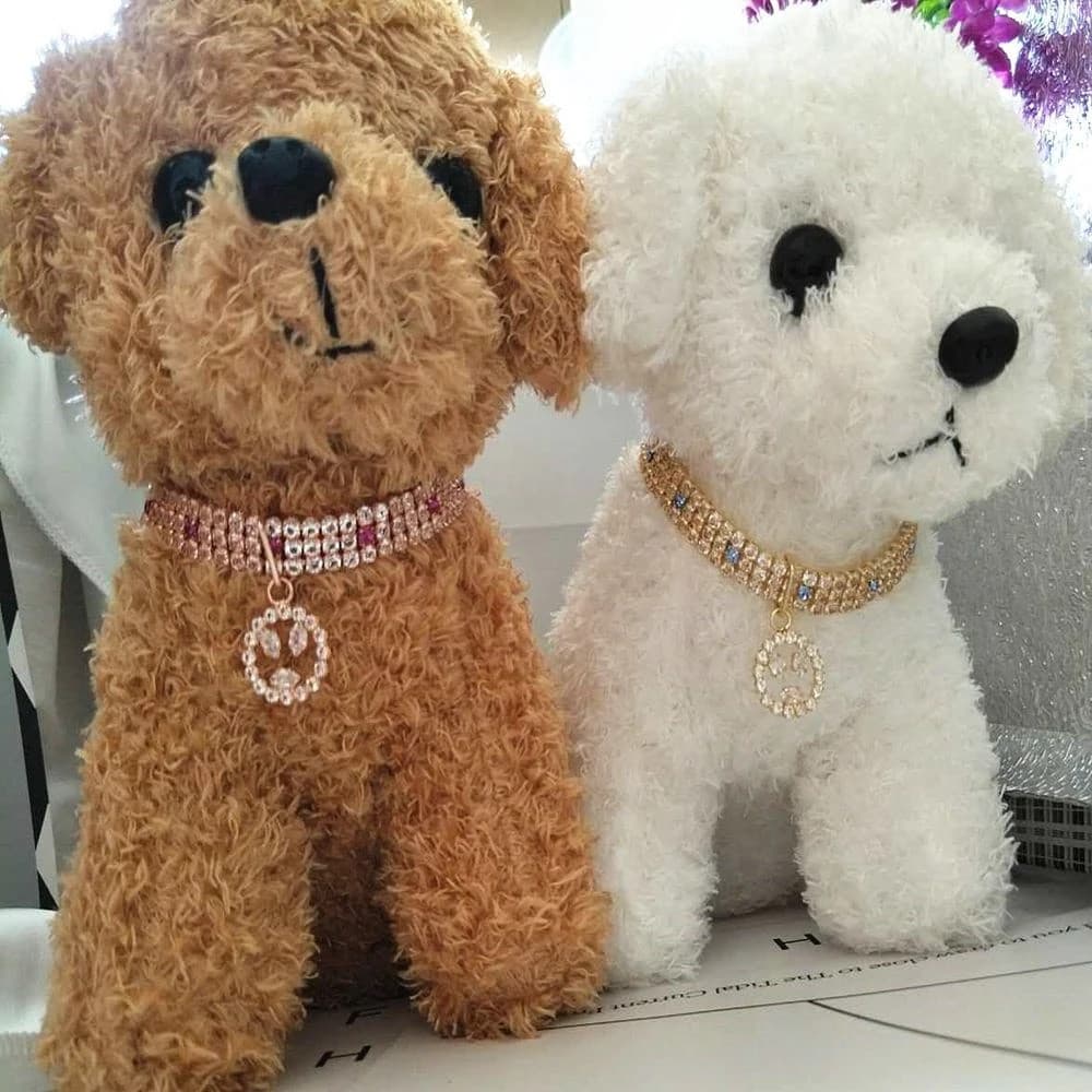 Animais de Estimação Coleira gato Luxo Colar de Siamantes para Gatos Coleira de Diamantes para Cães Pequenos