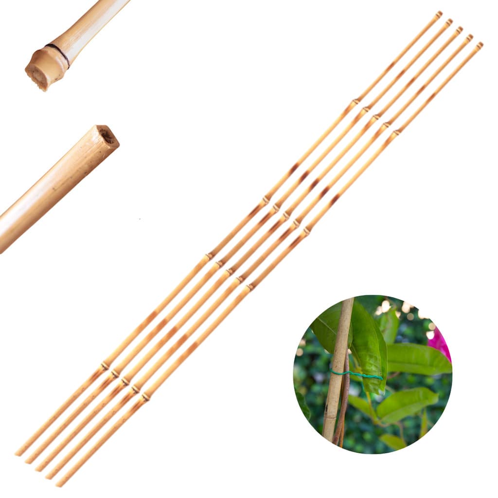 Tutor Estaca De Bambu Para Planta 95cm 5pçs Ponta Grossa