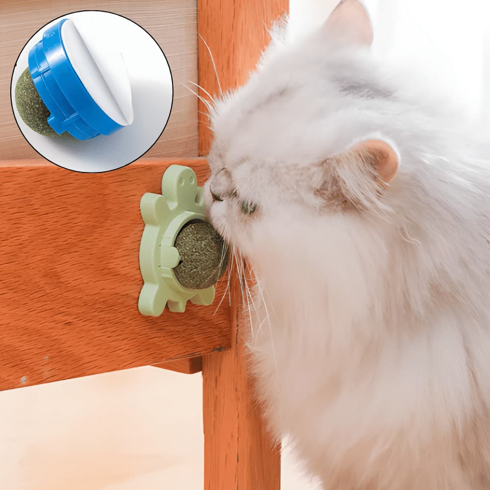 Catnip Gato Brinquedos Para Gatos Parede Erva Catinip Natural Interativo Pet Bolinha Adesiva Felino
