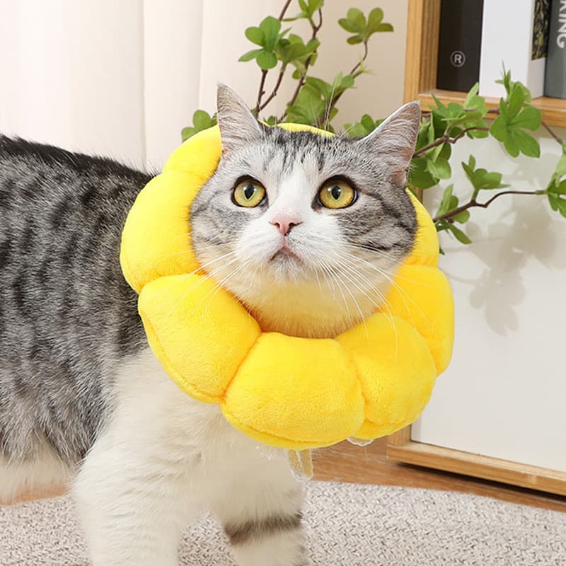 Coleira Elisabetana De Girassol Macio PetSol Para Cães E Gatos , Cone De Recuperação Ajustável Após Cirurgia , Eletrônic