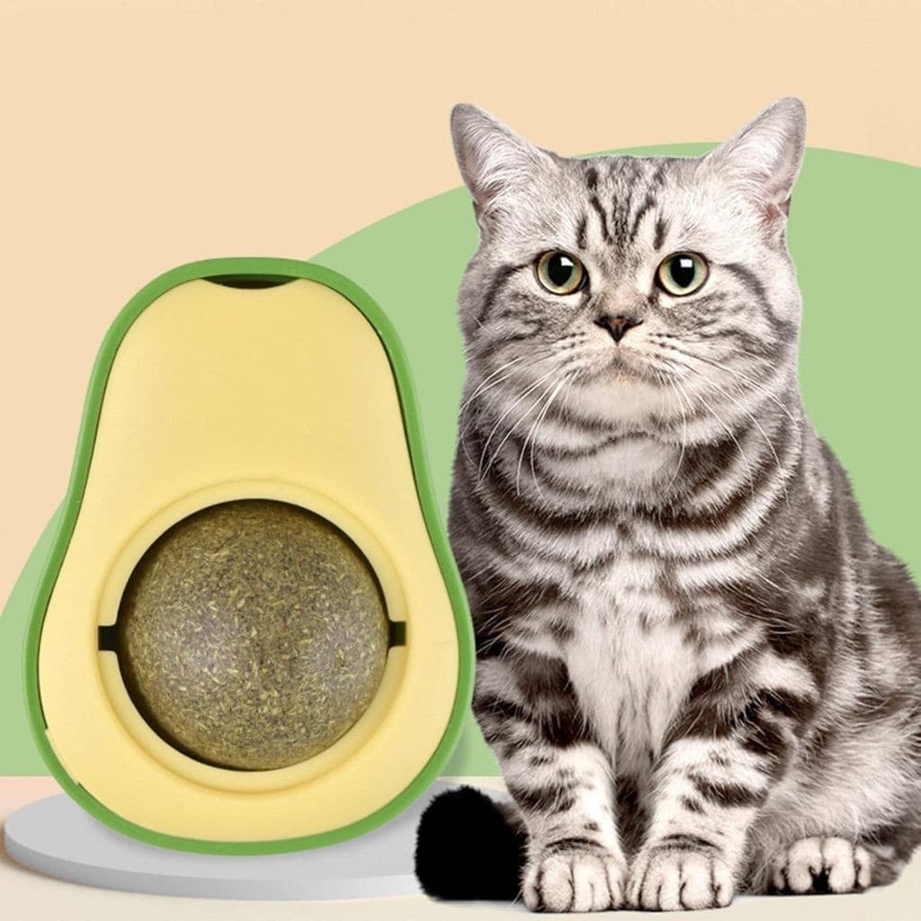 Catnip Abacate Brinquedo Interativo 360º Plástico Durável Estímulo Felino Catnip Pet Brinquedo