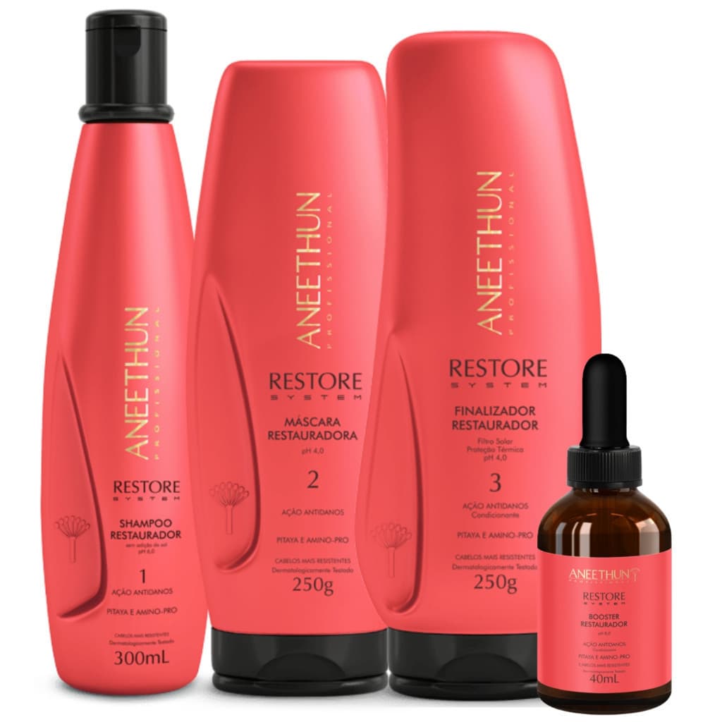 Kit Restore System Aneethun Completo Restauração dos Fios com 4 Produtos Shampoo 300ml Mascara 250g Finalizador 250g Booster 40ml
