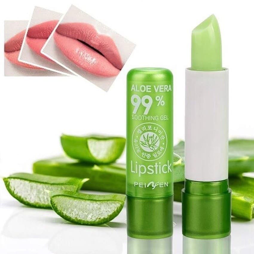 5 Peças de Batom de Aloe Vera hidratante natural