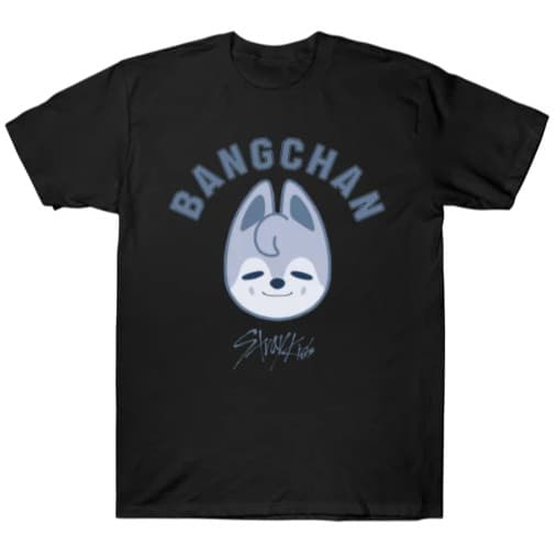 Camiseta Stray Kids Bangchan Kpop Adulto/Infantil Lançamento Camiseta Em Algodao 33