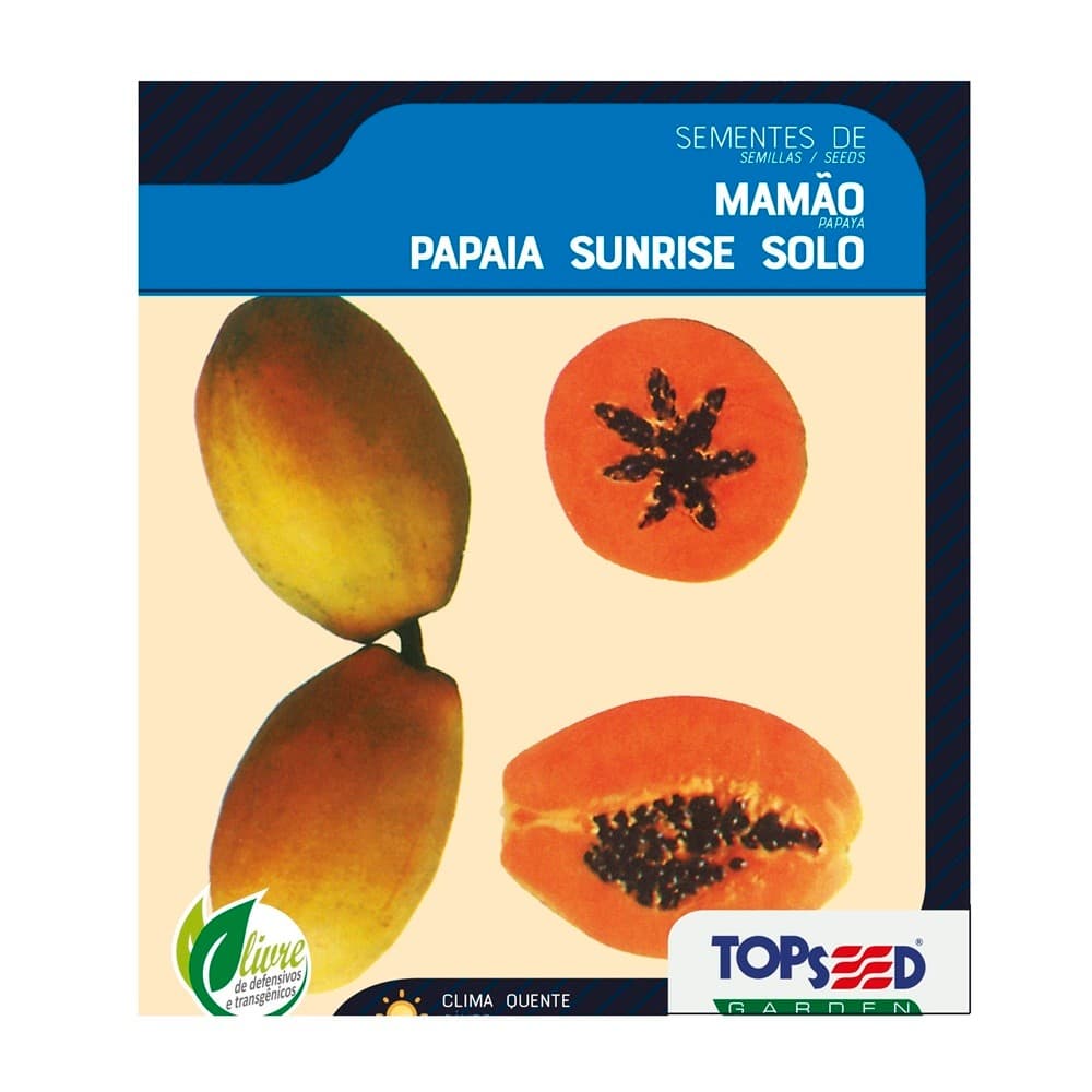 Kit 150 Sementes Mamao Papaia Otima Germinaçao