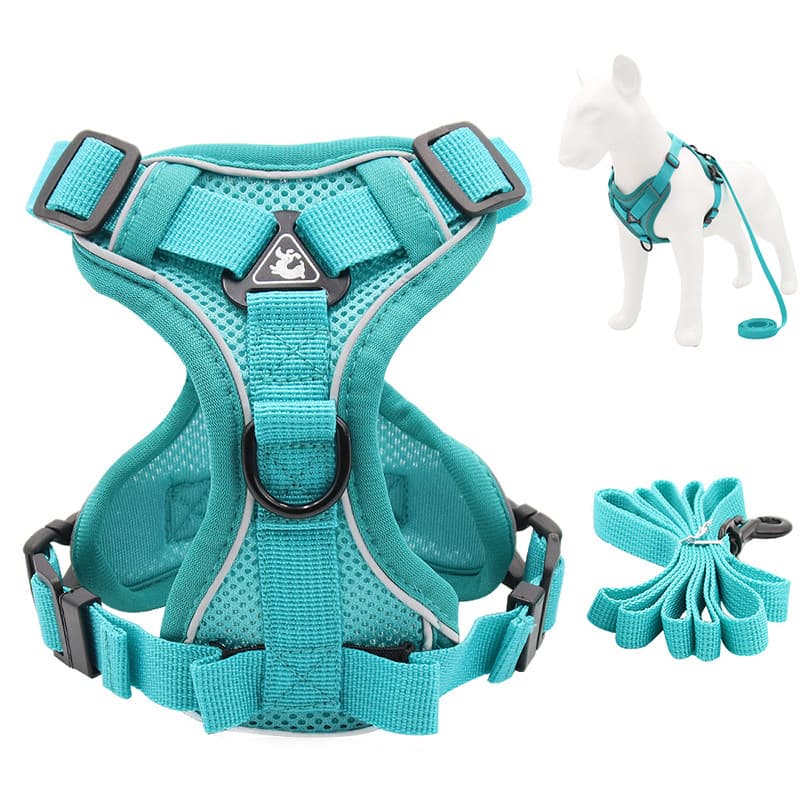Conjunto De Arnês E Trela Reflexivo Para Cães Pequenos Andando Colete Gatos Acessórios Animais De Estimação