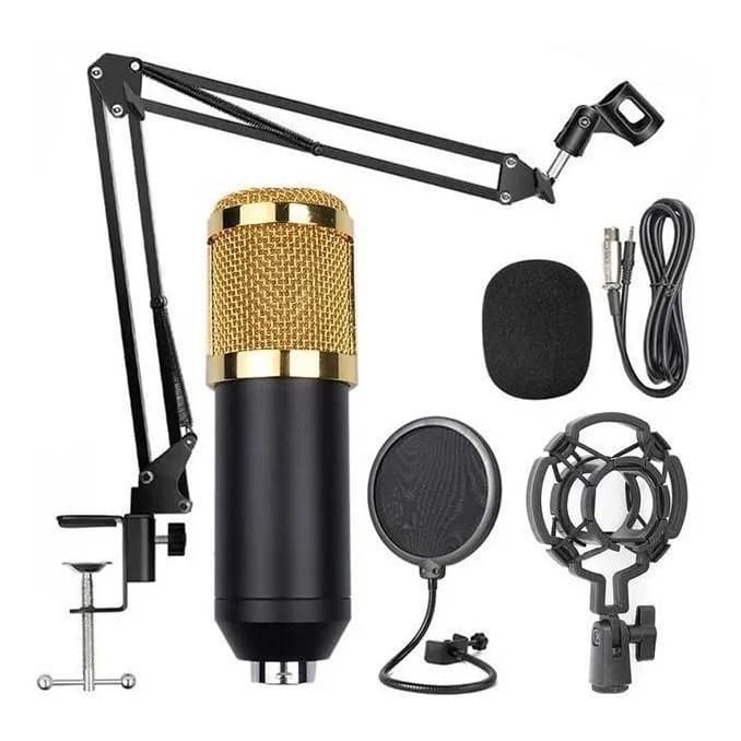 Kit Microfone Condensador Pro + Pedestal Pop Filter Espuma
