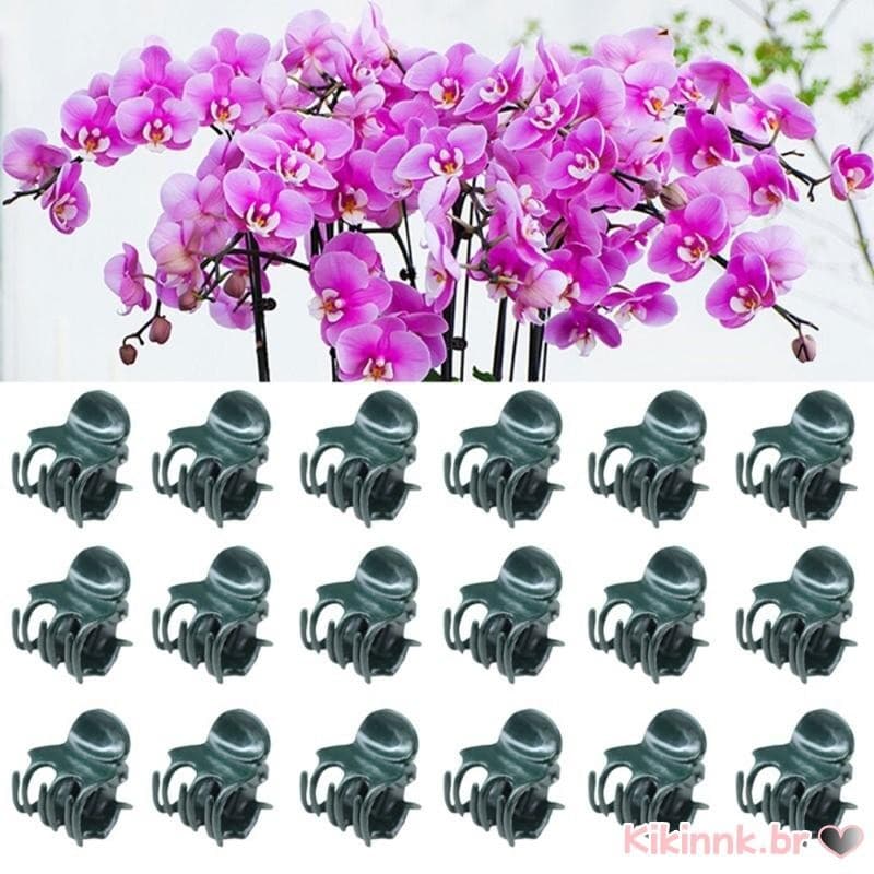 20 100 Unidades Clipes Haste Orquídea Suporte Para Cultivo Flores