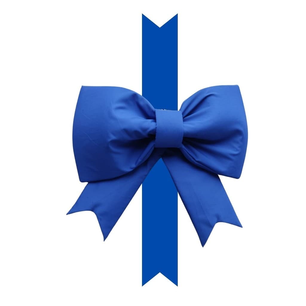 Laço Gigante Para Carro Com Faixa 2 Metros Azul