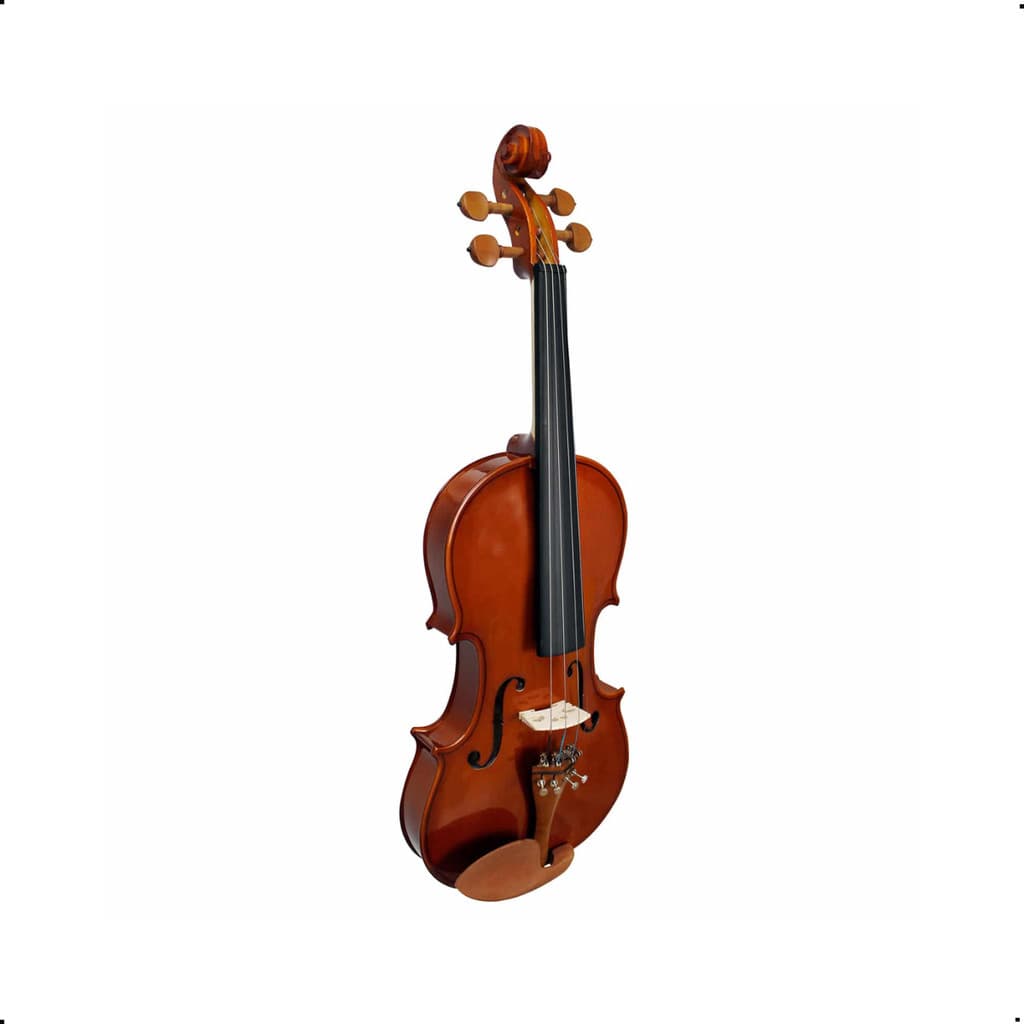 Violino Giannini 4/4 Tampo Macico GVS Verniz Brilhante