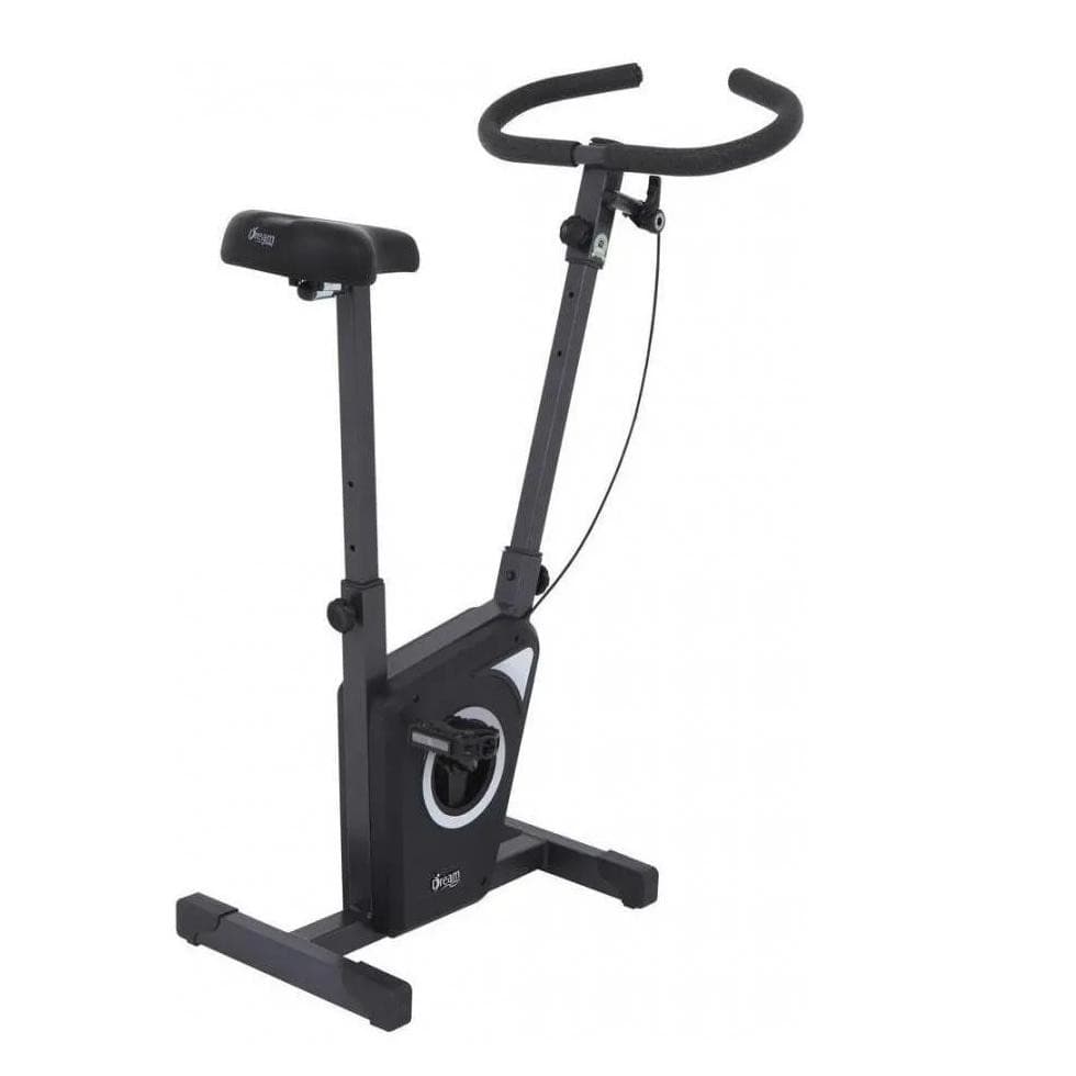 Bicicleta Ergométrica Vertical Dream Fitness EX 450 Uso Doméstico Residencial Chumbo