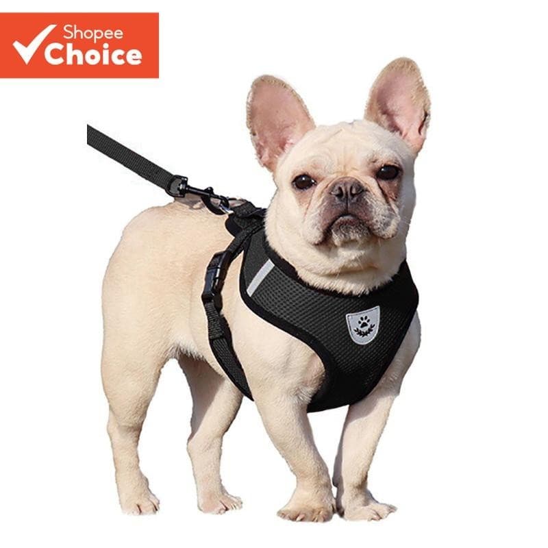 Conjunto De Arnês E Trela Para Animais De Estimação De Malha Ajustável-Coleira Respirável Cães/Gatos Com Controle De Tra