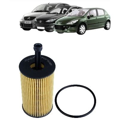 Filtro Óleo Motor Peugeot 206 307 Citroen Xsara C3 1.6 16v