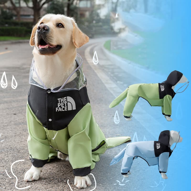 Capa De Chuva Para Cães À Prova D'água De Médio Porte Com Tudo Incluído Goldendoodle Outdoor Pet Supplies
