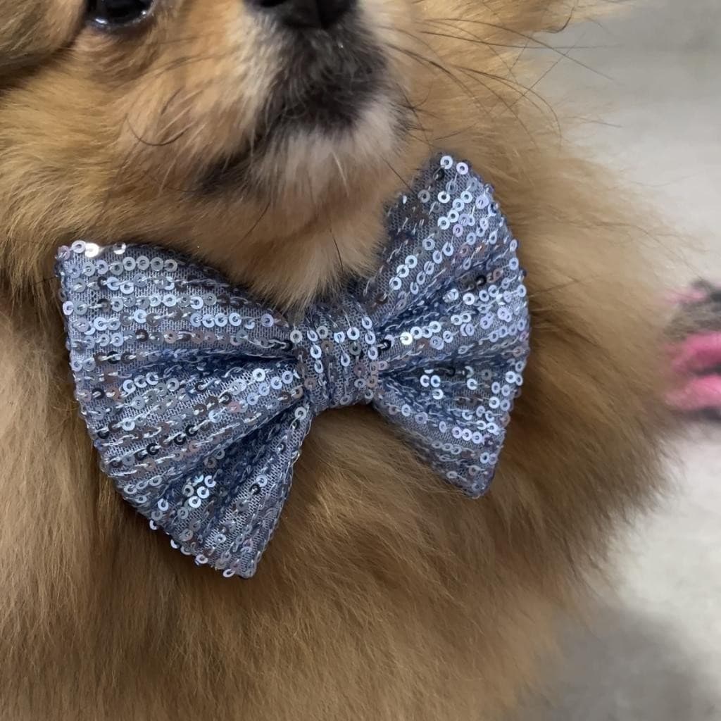 Gravata Pet Macho | Gravata Pet | Cachorro Acessórios |  Acessórios Para Cachorro | Pet | Tamanho P