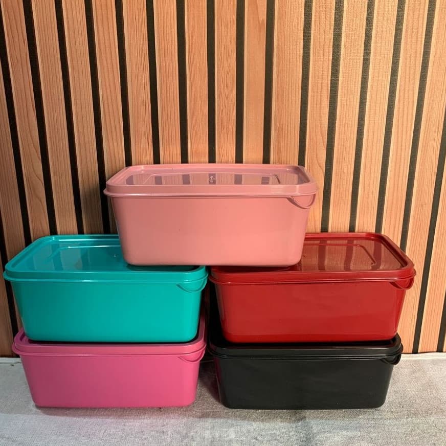 Kit 10 Potes Plásticos Retangulares Color 1L,  seguro para Micro-ondas, Freezer e Lava-louças.