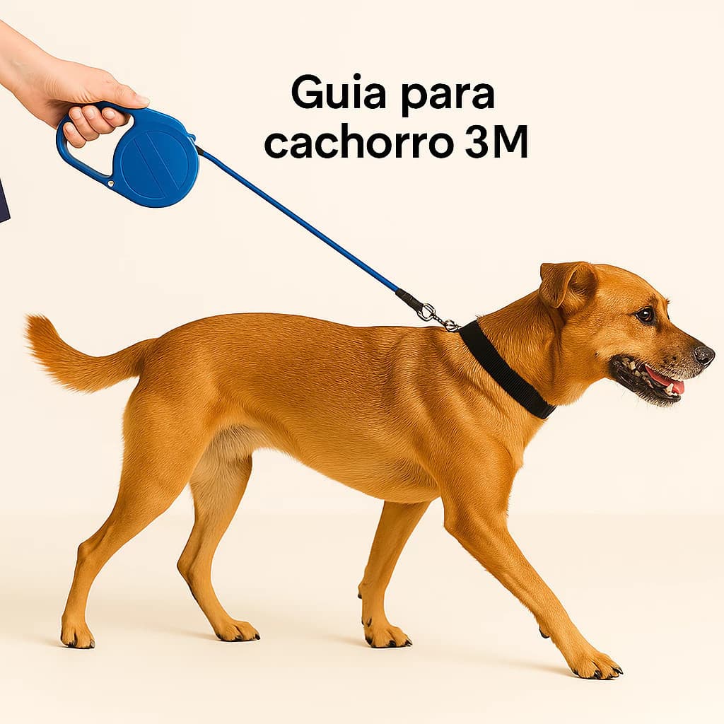 Coleira Guia Gato Corda Cinta Trela Arnêses Sela Caminha Passeio Coleira Focinheira Pets Cachorro