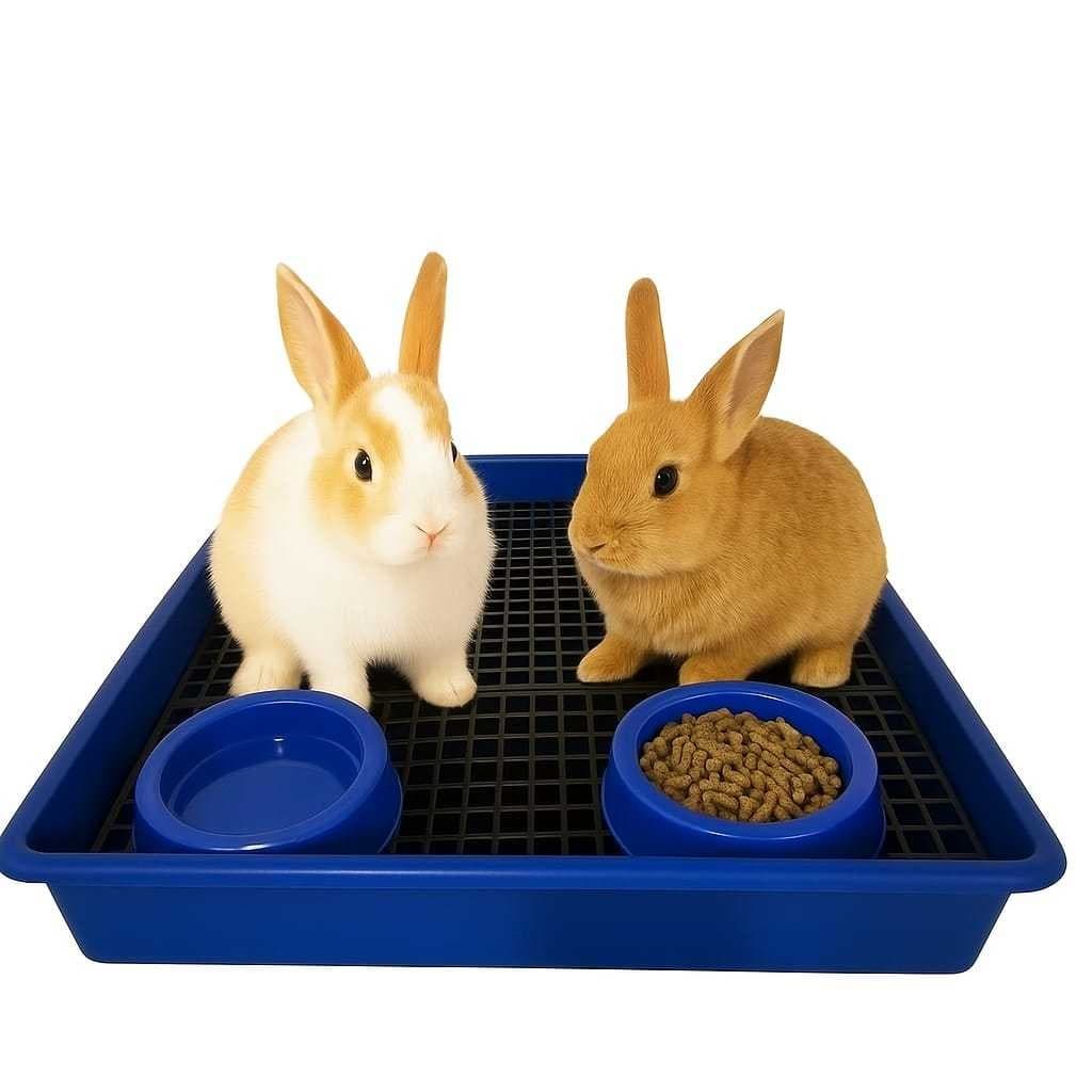 Banheiro GG Sanitário Para Roedores Coelhos Com GRADE BANHEIRÃO C/ Dois Comedouros!