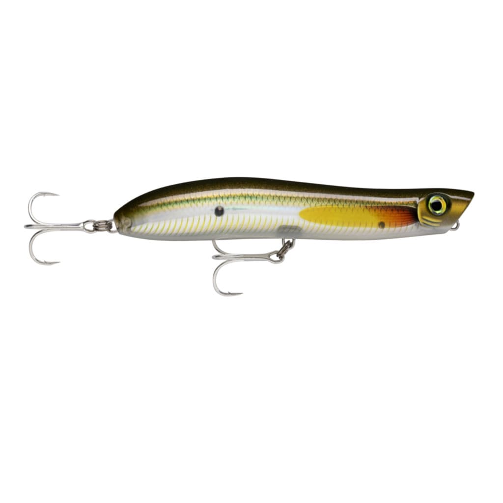Isca Artificial Rapala Max Rap Walk´N Roll 10cm 13g Cores Pesca
