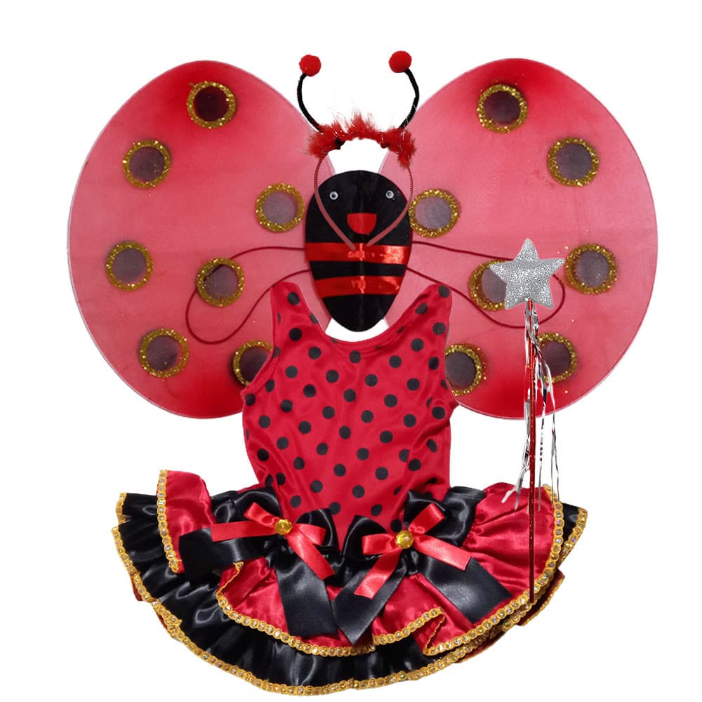 Fantasia Joaninha Infantil com Asa Varinha e Tiara