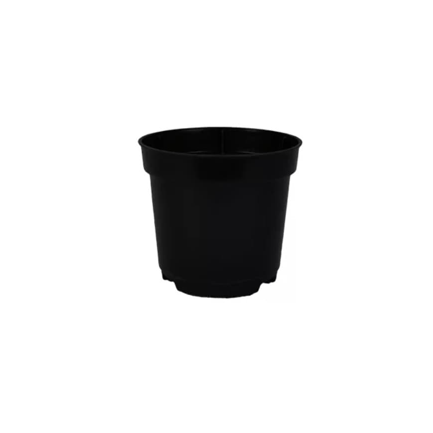 Kit de Vasos pote 6 Preto Para Mini Cactos Rosa do Deserto e Suculentas na COR preto