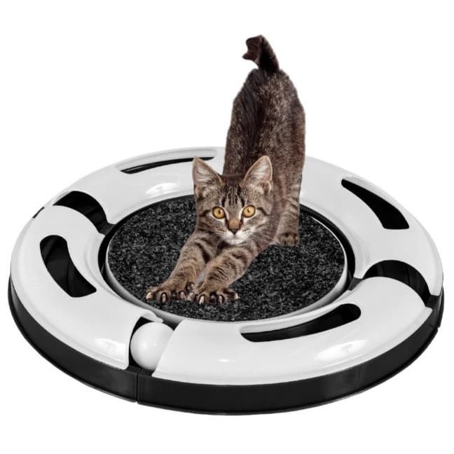 Arranhador Interativo Redondo Para Gato Relax Com Bolinha Miau Jel Plast